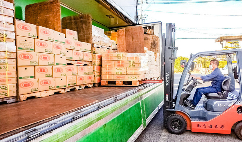 吉田青果の委託販売